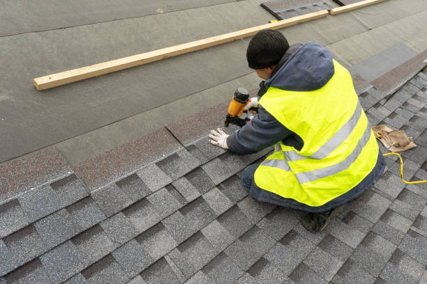 Best Metal Roofing Contractor  in Mountain View, HI