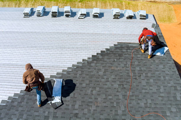 Best Roof Maintenance Services  in Mountain View, HI