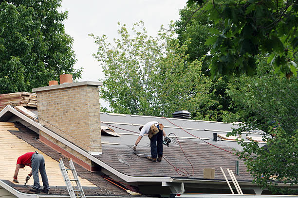 Best Roof Gutter Cleaning  in Mountain View, HI