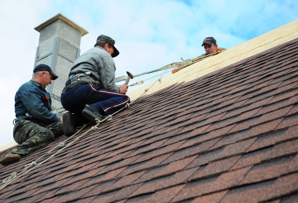 Best Roof Waterproofing Services  in Mountain View, HI